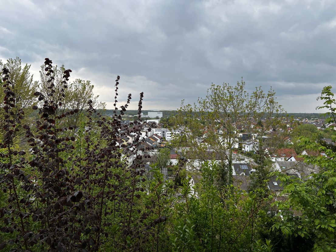 Freistehendes EFH mit Garage u. Carport in Halbhöhenlage mit Blick auf die Rheinebene – Weingarten (Baden) – Vorschaubild 74