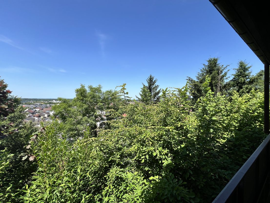 Freistehendes EFH mit Garage u. Carport in Halbhöhenlage mit Blick auf die Rheinebene – Weingarten (Baden) – Vorschaubild 78