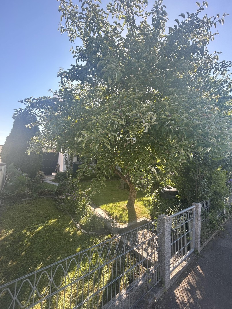 Ihr neues Zuhause- viel Platz für die ganze Familie… – Singen – Vorschaubild 22