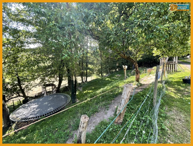 IHR IDYLLISCHER ERSTWOHNSITZ IM WALD! – Grebenau – Vorschaubild 16