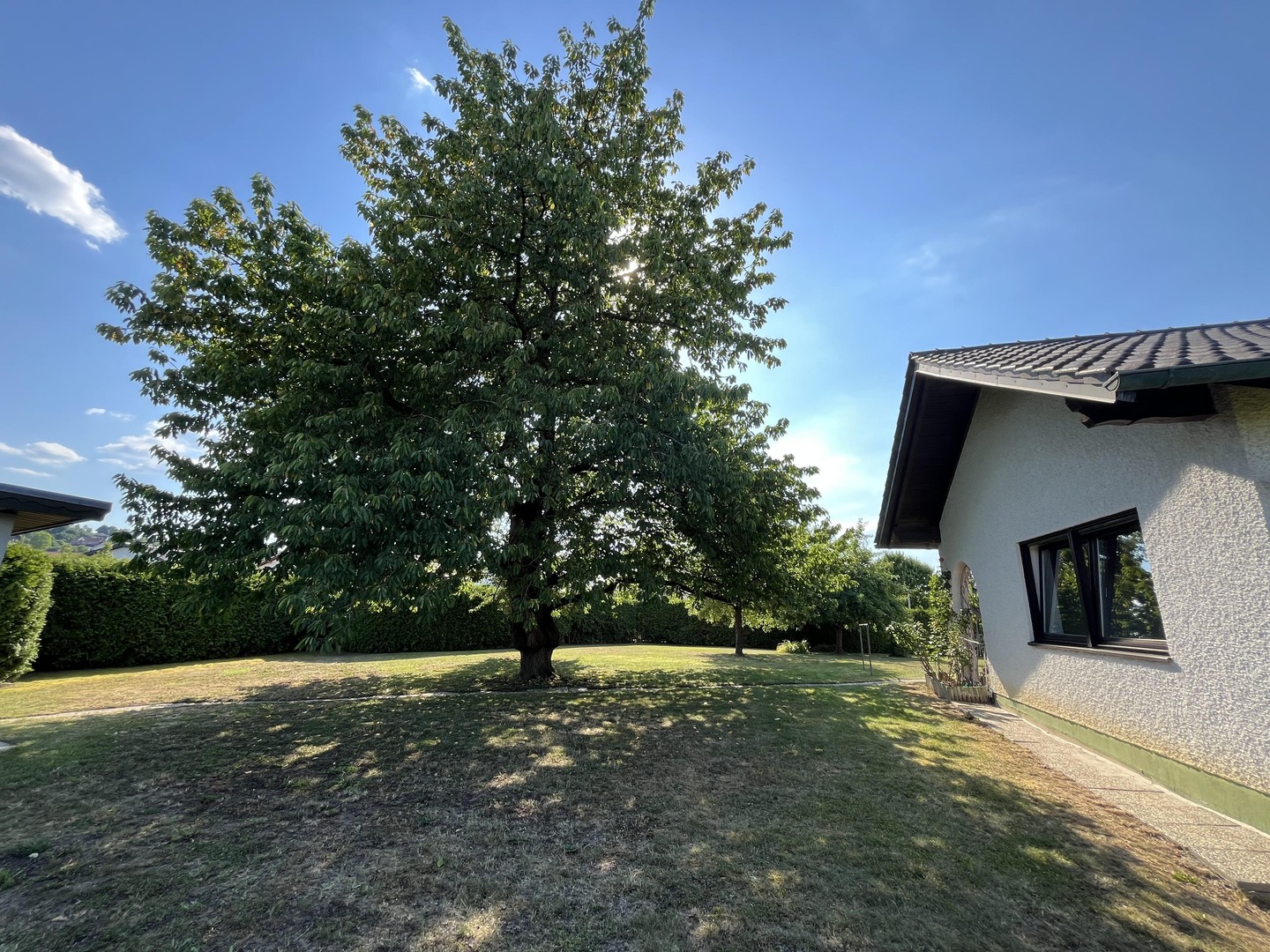 Großzügiger Bungalow mit Traumgrundstück, Dreifachgarage in Markt Eichendorf – provisionsfrei – Eichendorf – Vorschaubild 37