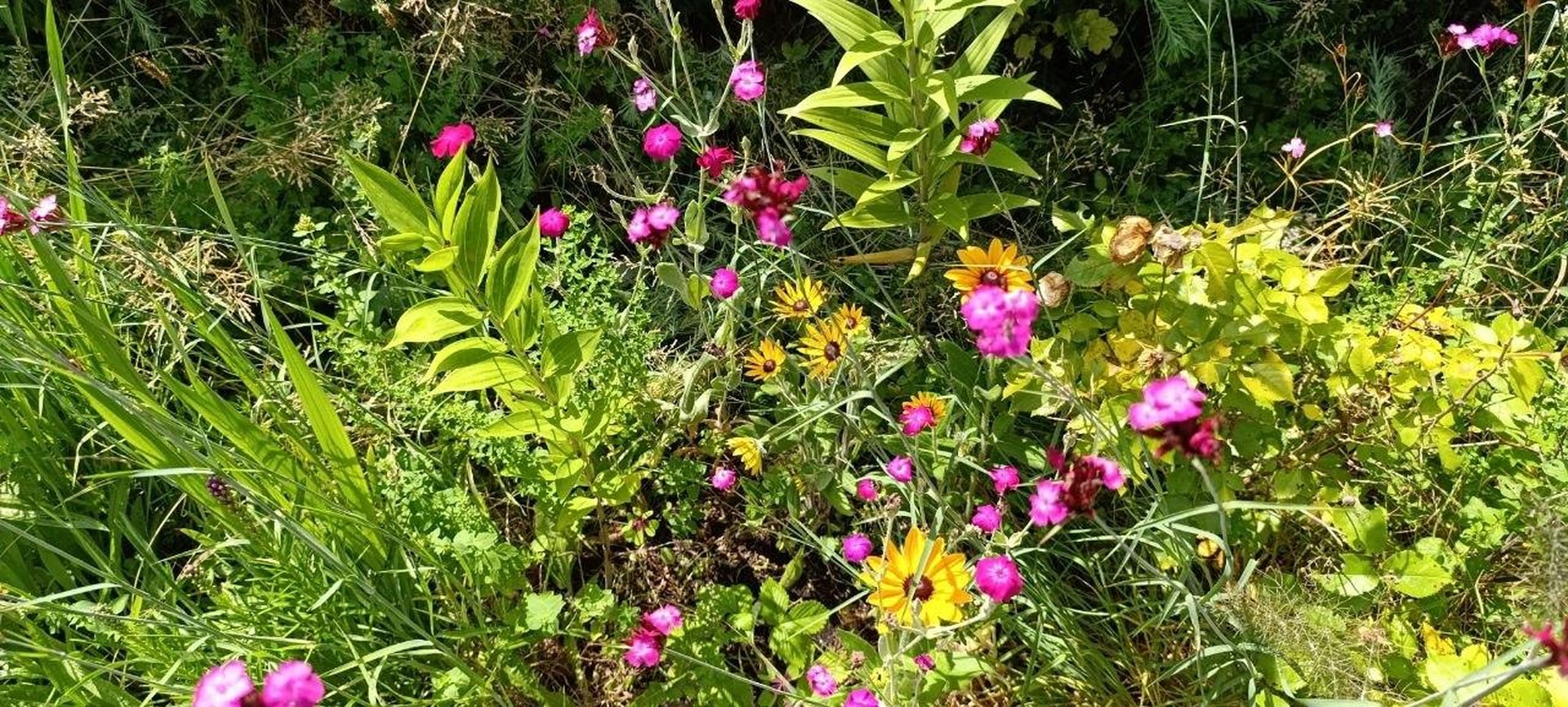 Ruheoase zwischen Elbe, Feld & Wald – Hamburg – Vorschaubild 31