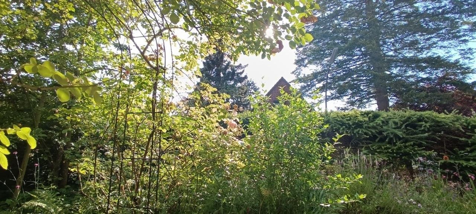 Ruheoase zwischen Elbe, Feld & Wald – Hamburg – Vorschaubild 35
