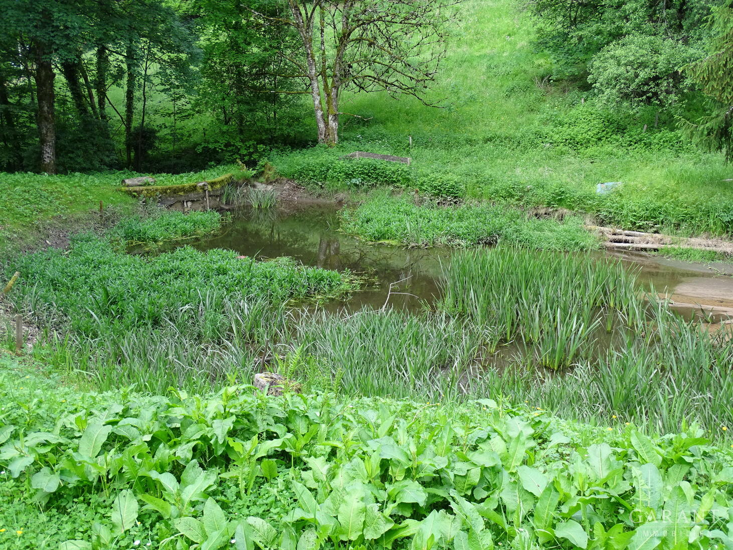 Charaktervolles Mehrfamilienhaus, eingebettet in einen großzügigen Park - geniale Kapitalanlage! – Zell im Wiesental – Vorschaubild 24