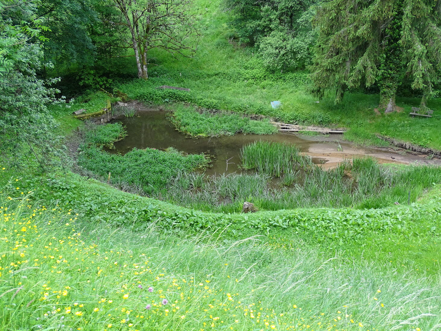 Charaktervolles Mehrfamilienhaus, eingebettet in einen großzügigen Park - geniale Kapitalanlage! – Zell im Wiesental – Vorschaubild 25
