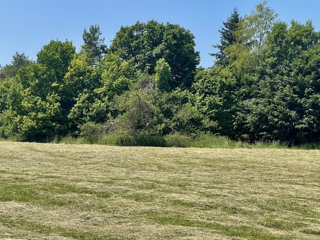Exklusive Villa auf einmaligem Traumgrundstück – Augsburg – Vorschaubild 7