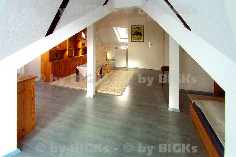 BIGKs - Chemnitz: Möblierte 1 Zimmerwohnung,integrierte Küche&Wannenbad,Balkon, (-;) – Chemnitz – Vorschaubild 10