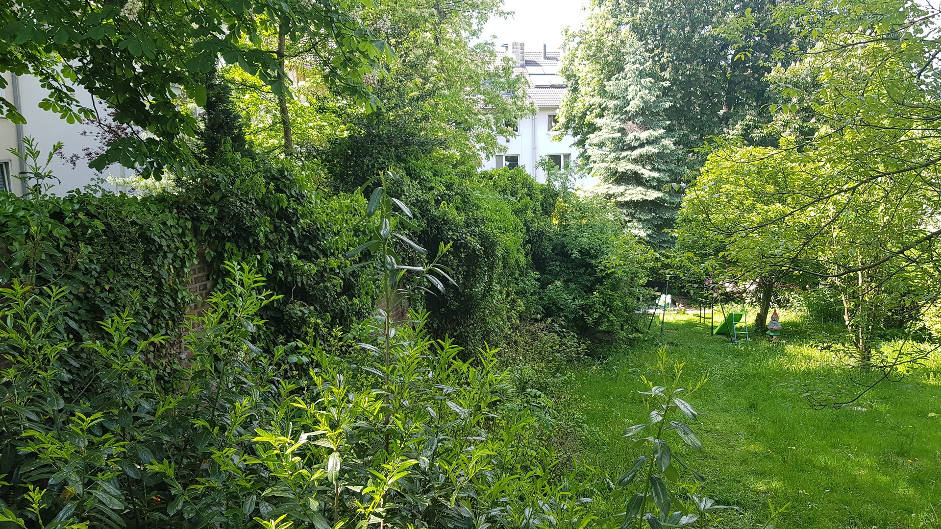 Uninähe, 2 Zimmer, Wohnküche, Einbauküche, begehbarer Kleiderschrank,Gartennutzung, Fernblick...... – Wuppertal – Vorschaubild 6