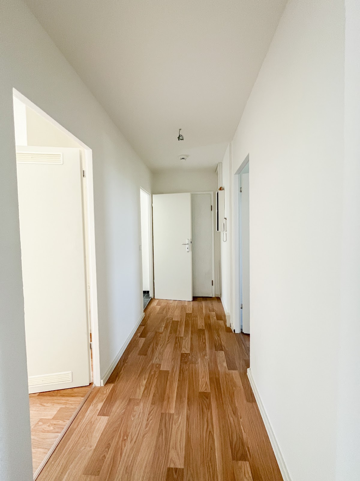 Grünes Paradies: Ruhige Wohnung am Stadtpark – Chemnitz – Vorschaubild 9