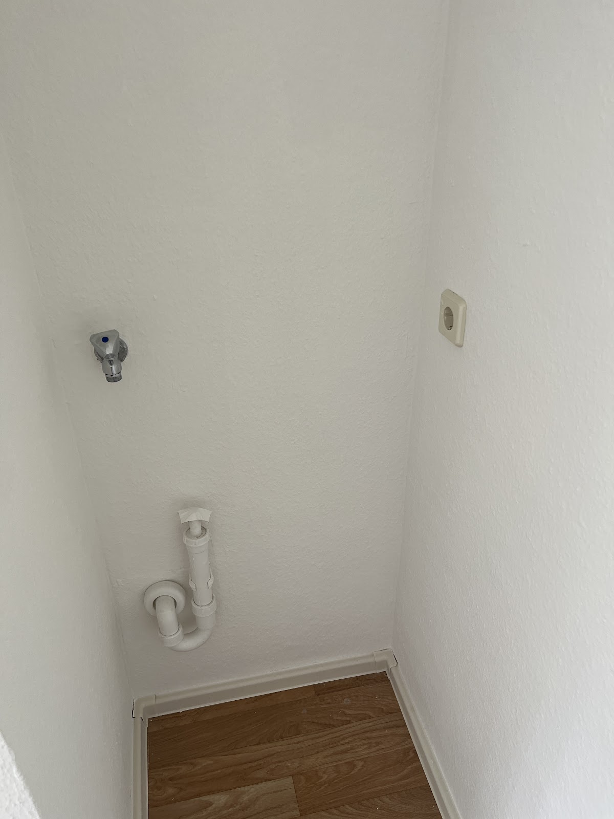 Grünes Paradies: Ruhige Wohnung am Stadtpark – Chemnitz – Vorschaubild 10