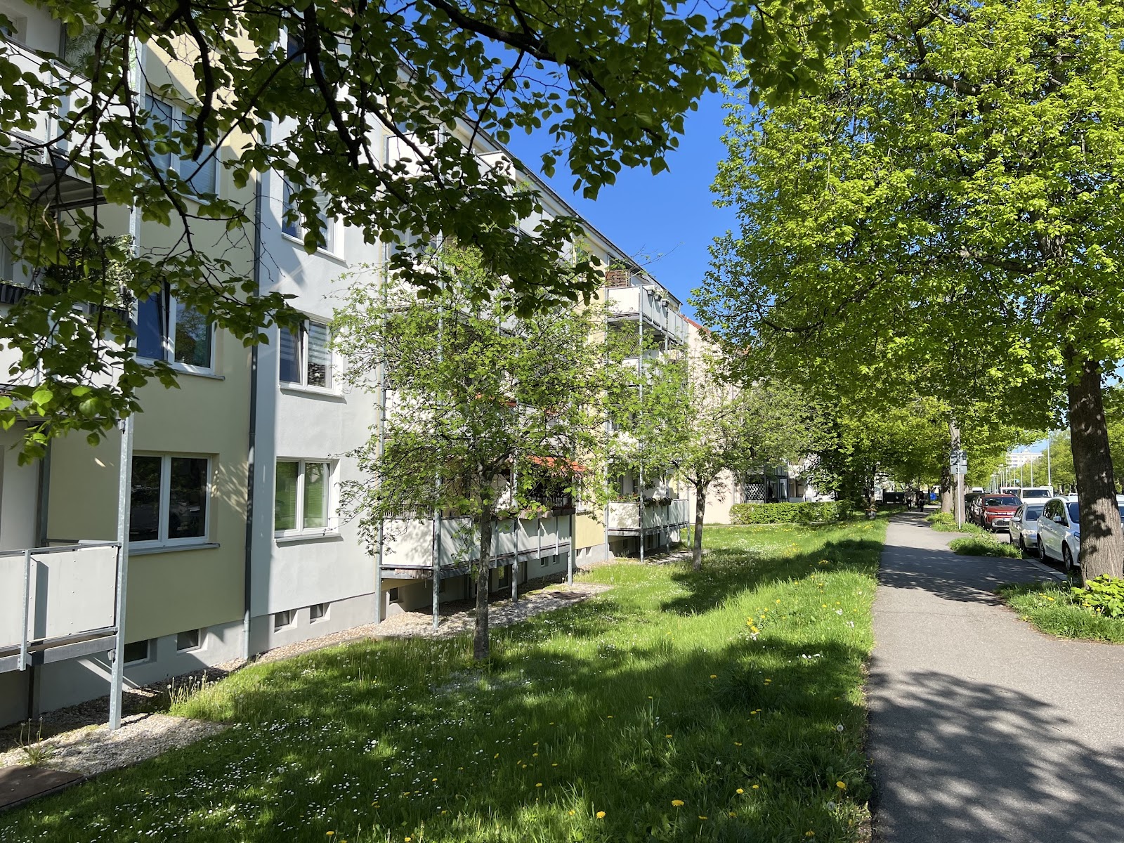 Bequem im Erdgeschoss mit ebenerdiger DUSCHE wohnen – Chemnitz – Vorschaubild 10
