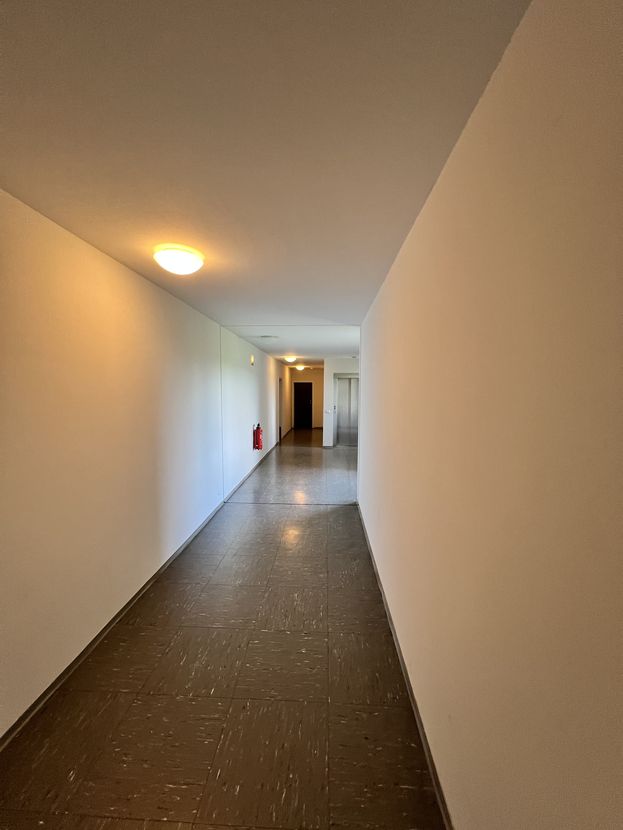 Rüppurr +++ Renovierte 3,5 ZI ETW mit neuer Einbauküche und Sonnenbalkon mit phantastischer Aussicht – Karlsruhe, Baden – Vorschaubild 47