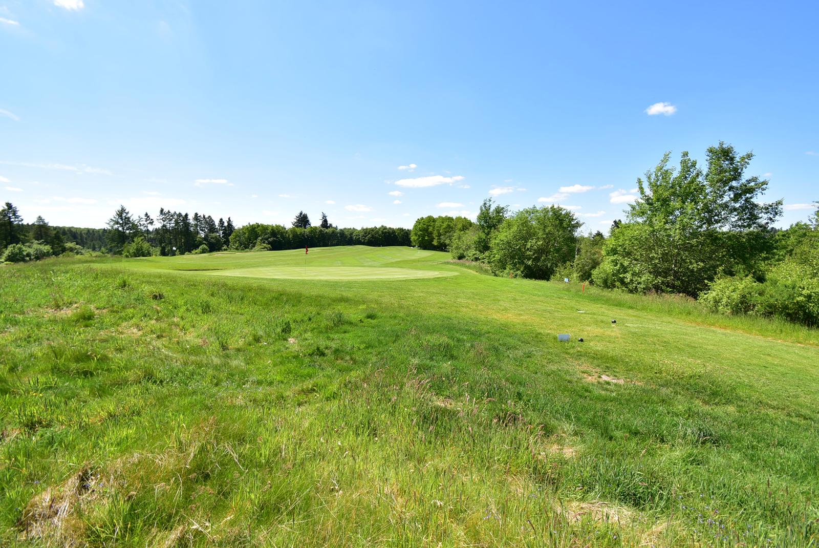 Freistehendes Ferienhaus am Rande des Golfplatzes in Cochem (3943) – Cochem – Vorschaubild 31