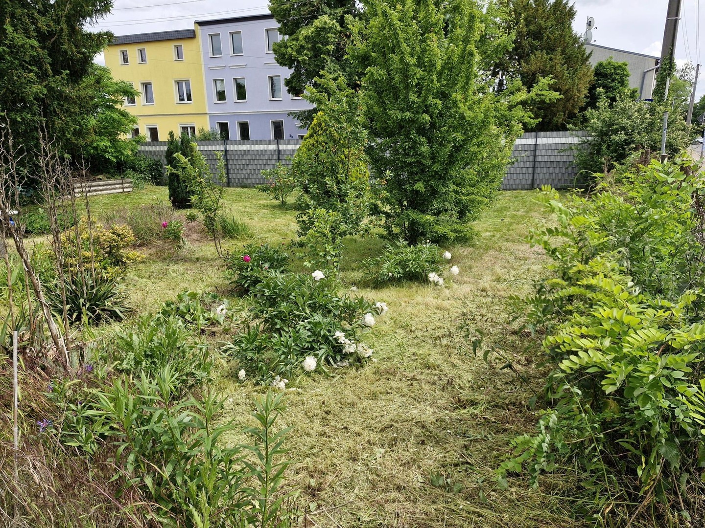 Mehrfamilienhaus mit Potenzial – Magdeburg – Vorschaubild 28