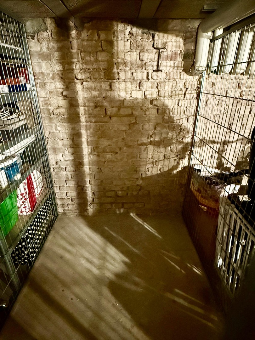 Lichtdurchflutete Wohnung, Toller Blick zum Helmholtzplatz (Provisionsfrei!) – Berlin – Vorschaubild 25