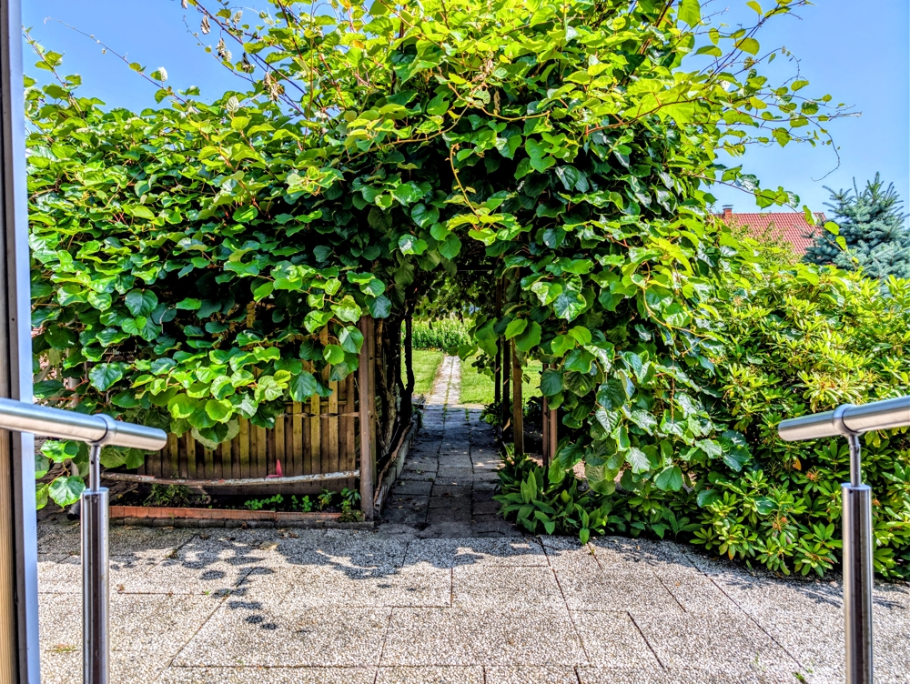 Potenzial trifft Substanz – gestalten Sie Ihr neues Zuhause in Haren / Emmeln! – Haren / Emmeln – Vorschaubild 5