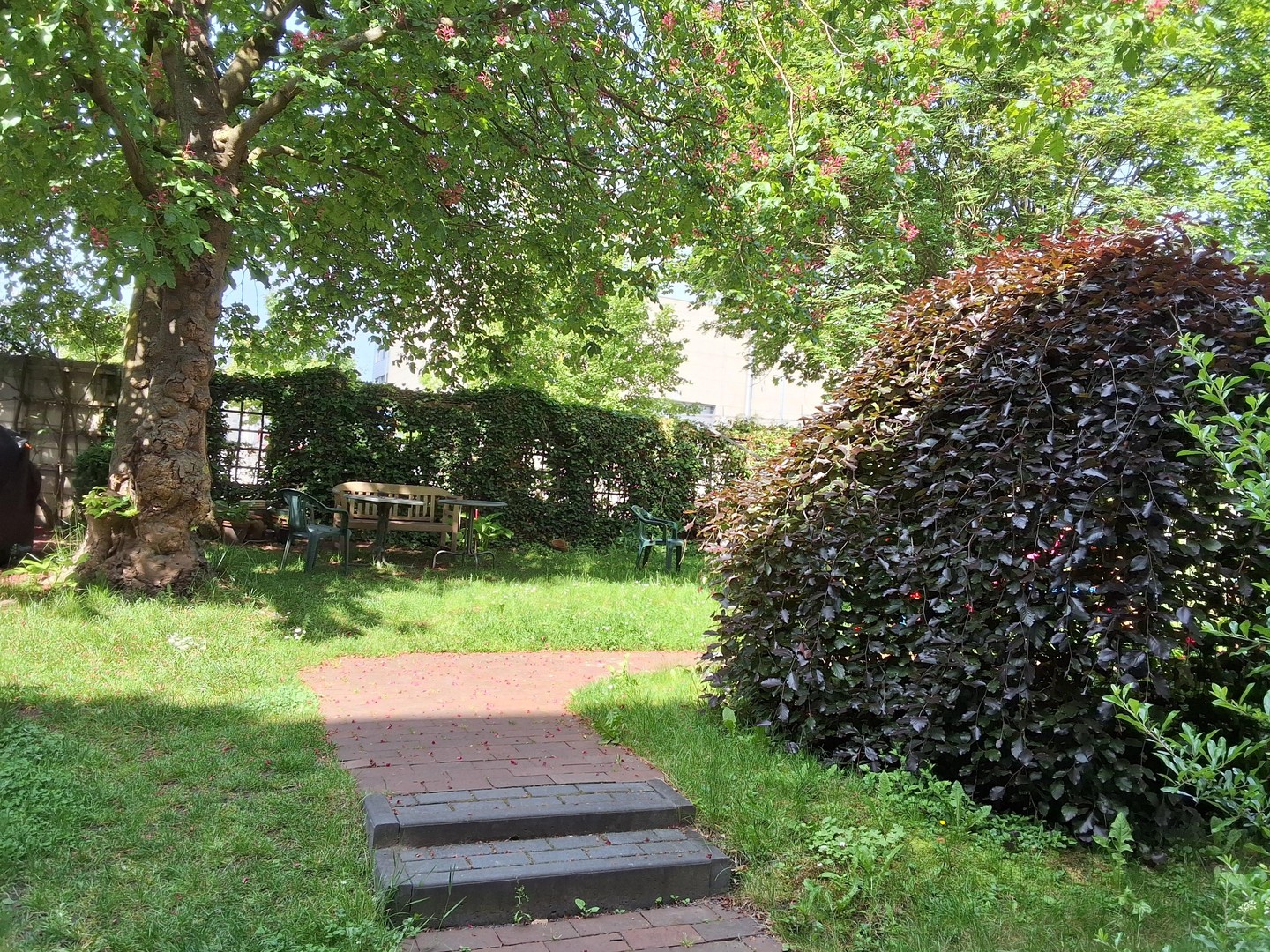 Dachgeschosswohnung in Kassel - UNI/Hopla – Kassel – Vorschaubild 17