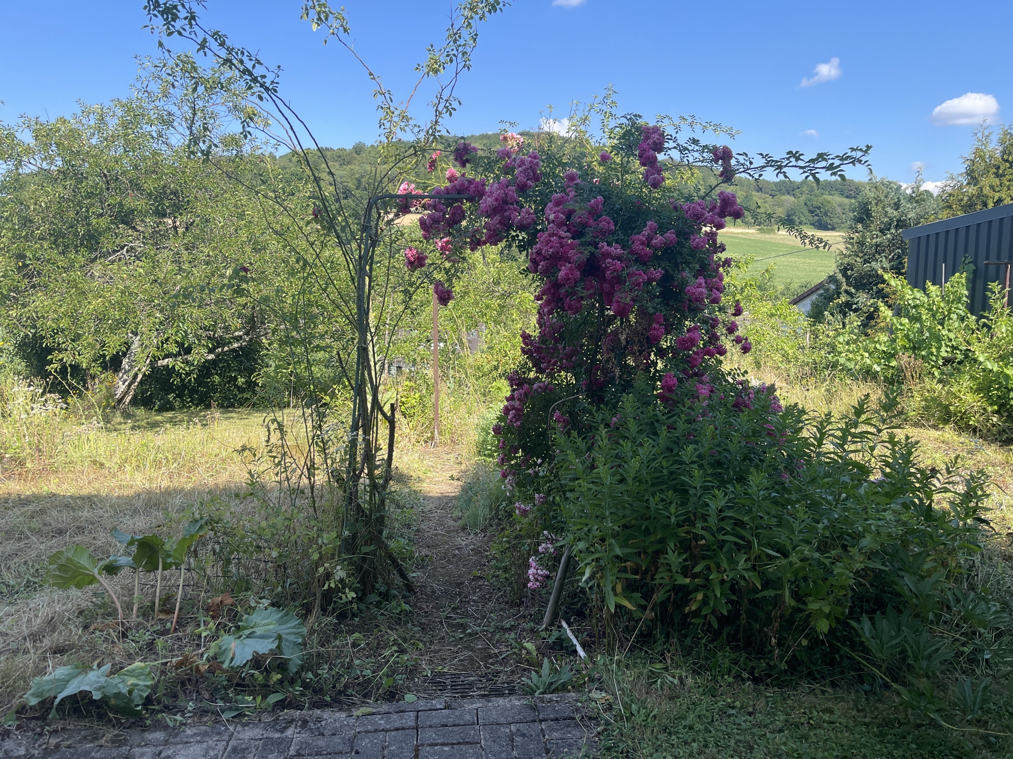 IHR FAMILIENGLÜCK in sonniger Wohnlage – St. Wendel – Vorschaubild 29