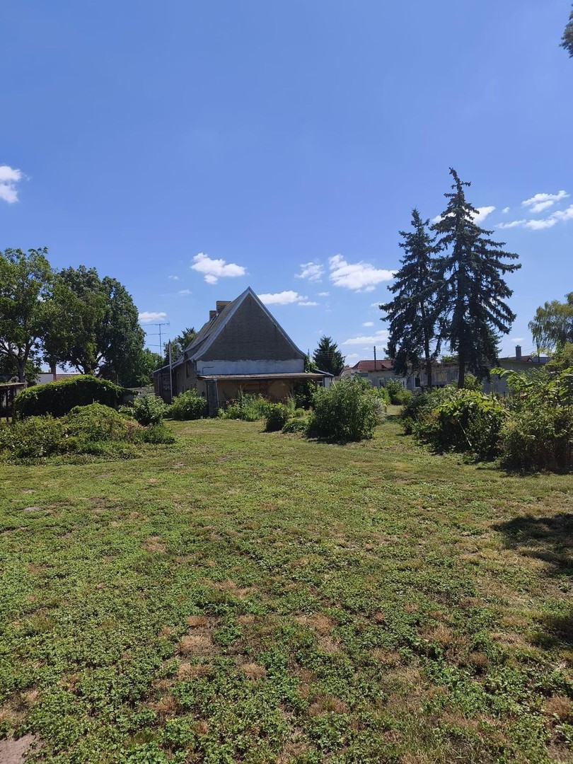 Seltene Gelegenheit - Einfamilienhaus mit großzügigem Grundstück in Libehna – Libehna – Vorschaubild 8