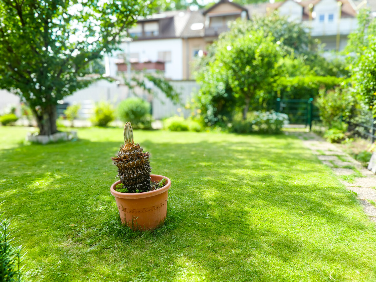 Der Traum vom Eigenheim, mit zusätzlichen Mieteinnahmen im 3-Familienhaus! – Mannheim / Rheinau – Vorschaubild 4
