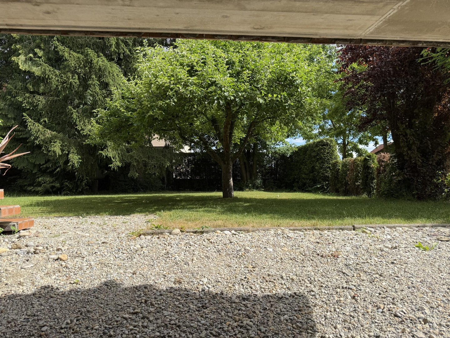 Zentrumsnah: Wohnhaus mit Galerie/Werkstatt, Einlieger-App. & traumh. Naturgarten (834 qm) – Bad Füssing – Vorschaubild 7