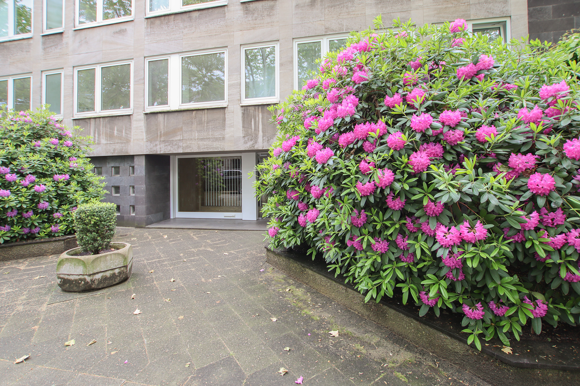 Dachterrassen-Traumwohnung mit Aufzug – Düsseldorf – Vorschaubild 2
