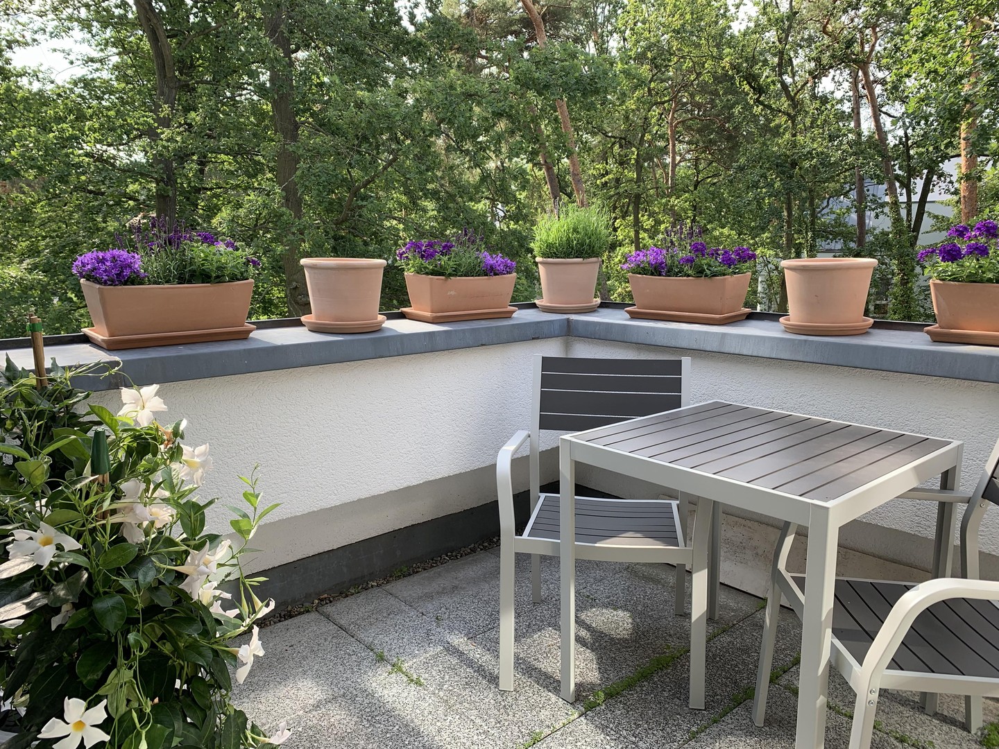 Preisangebot! Bezugsfreie, helle DG Maisonette mit großer Dachterrasse – Potsdam – Vorschaubild 4
