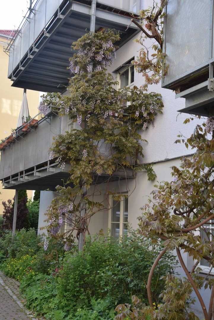 Großzügige 6-Zimmer-Wohnung in einem Gründerzeithaus in der Ludwigsvorstadt – München – Vorschaubild 27