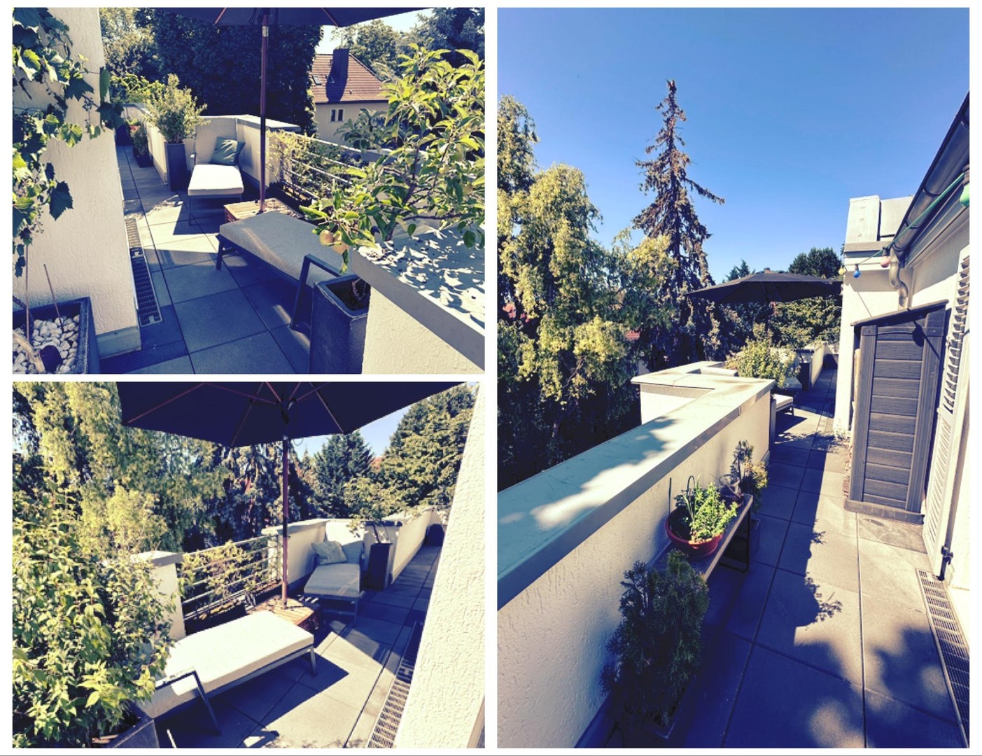 all-inclusive - Penthouse im Grünen (ohne Provision, inkl. Kfz-Stellplatz) – Magdeburg – Vorschaubild 16
