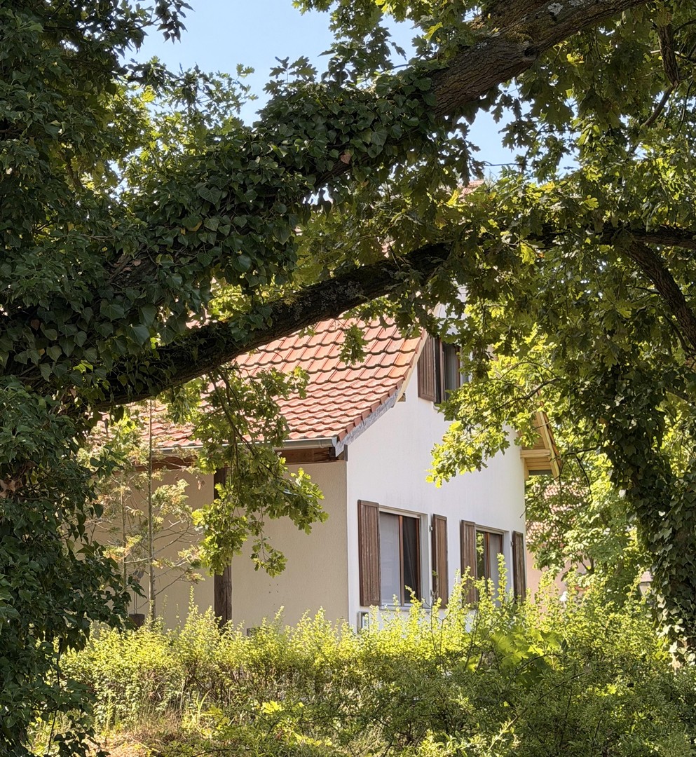 Freistehendes Einfamilienhaus mit Photovoltaikanlage auf sonnigem Grundstück in Berlin-Wittenau – Berlin – Vorschaubild 3