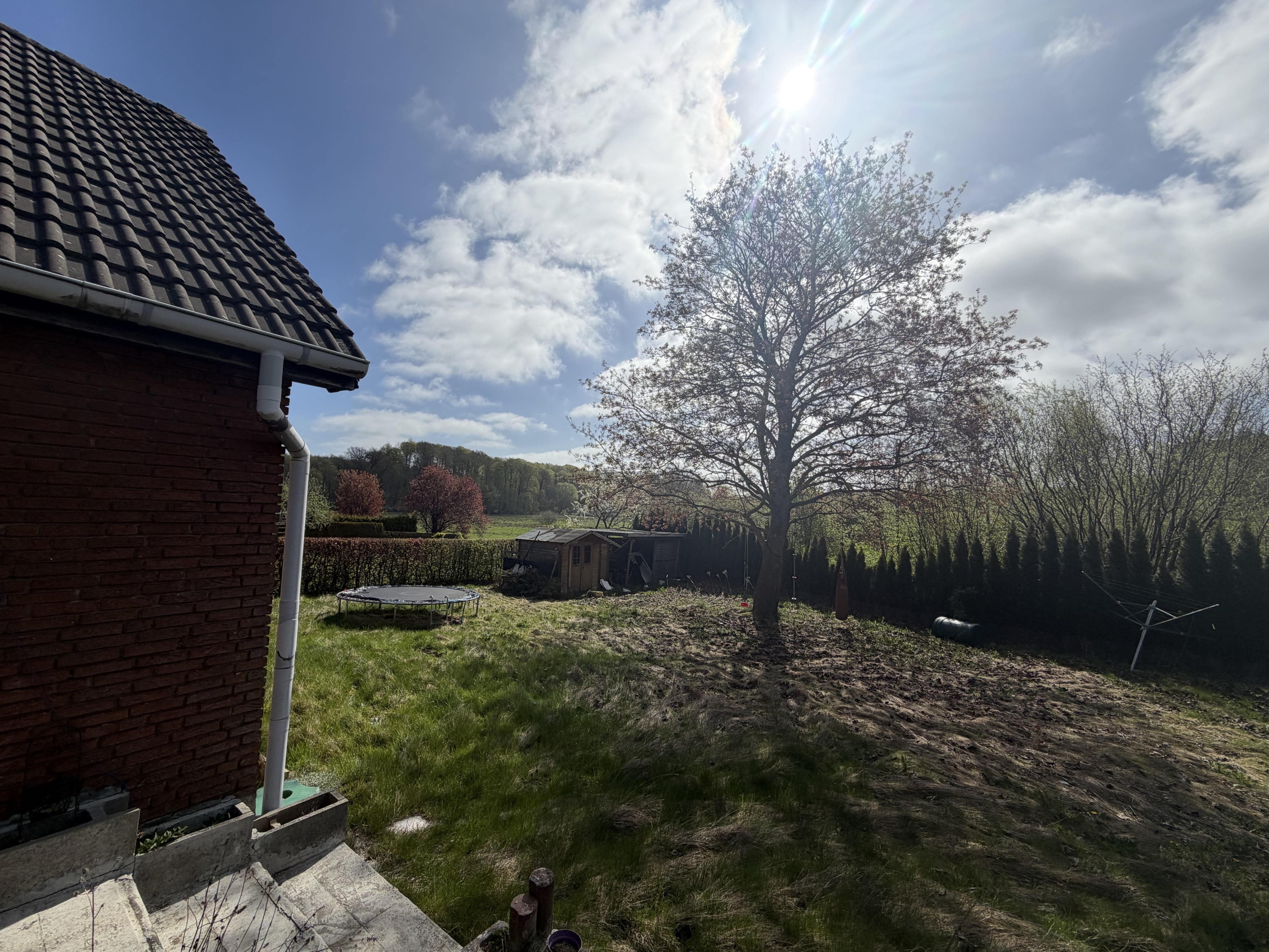 Einfamilienhaus mit Potenzial in idyllischer Feldrandlage! – Dobersdorf – Vorschaubild 5