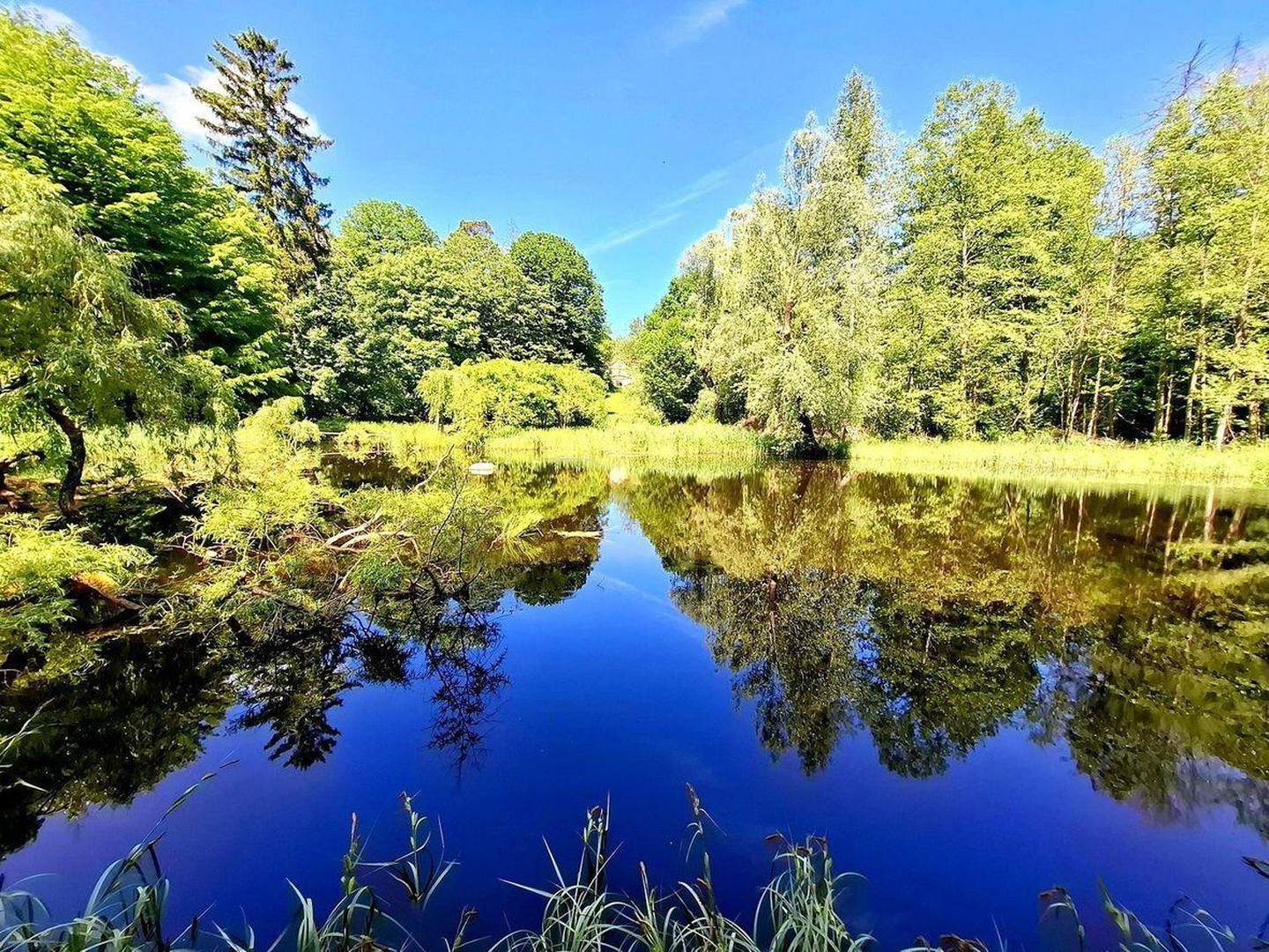 Seegut Blaue Blume – Herrenhaus, Wohnhaus & See in der Uckermark – Boitzenburger Land – Vorschaubild 5