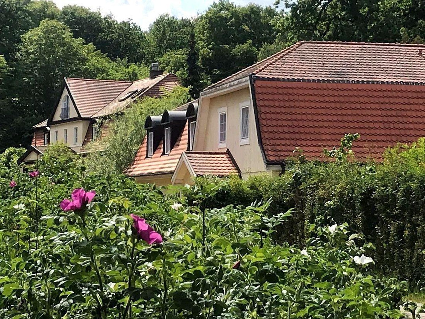 Seegut Blaue Blume – Herrenhaus, Wohnhaus & See in der Uckermark – Boitzenburger Land – Vorschaubild 26