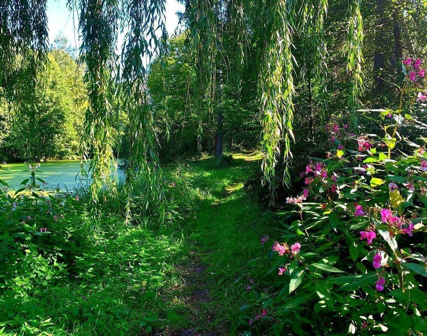 Seegut Blaue Blume – Herrenhaus, Wohnhaus & See in der Uckermark – Boitzenburger Land – Vorschaubild 37