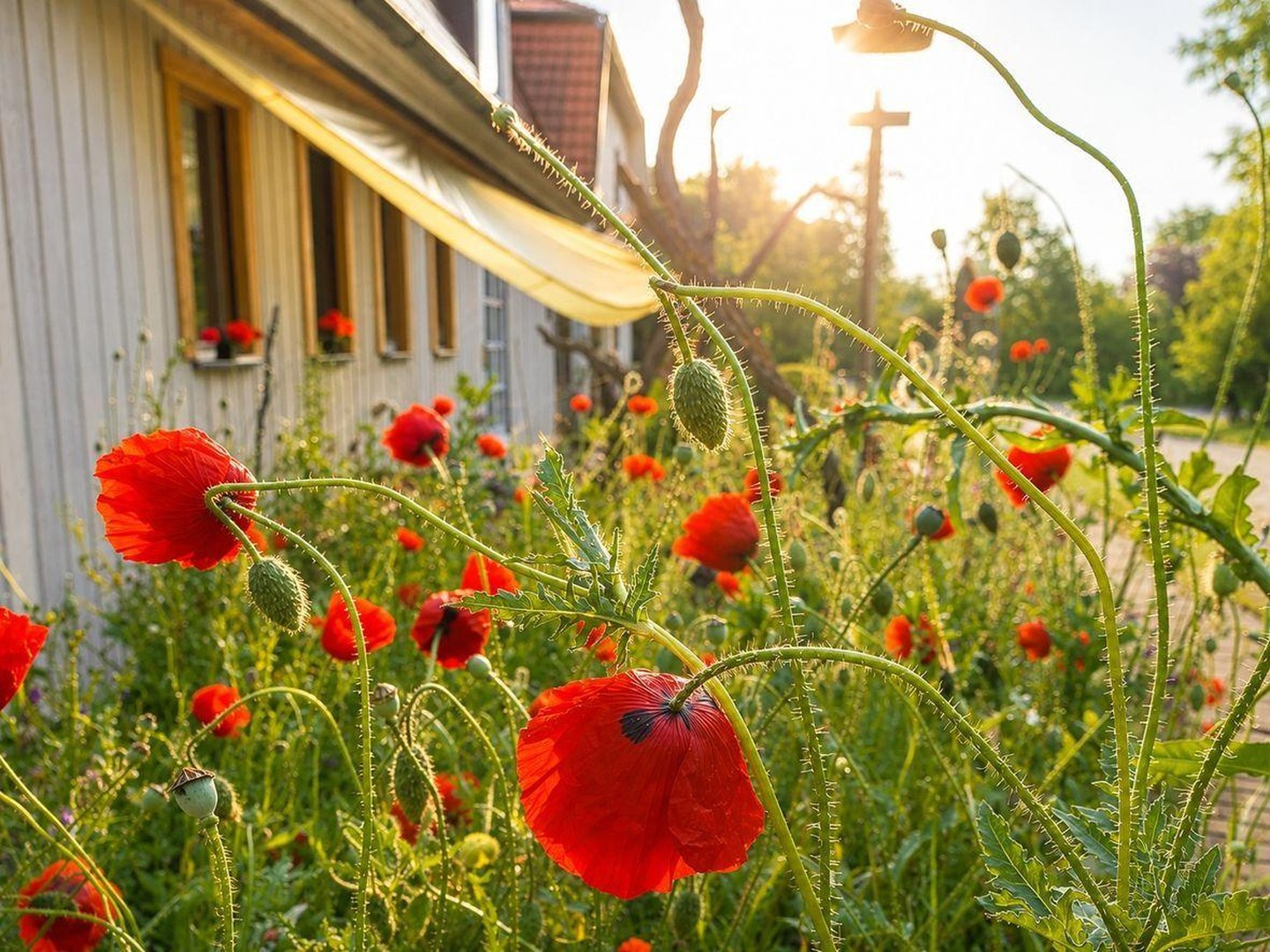 Seegut Blaue Blume – Herrenhaus, Wohnhaus & See in der Uckermark – Boitzenburger Land – Vorschaubild 38