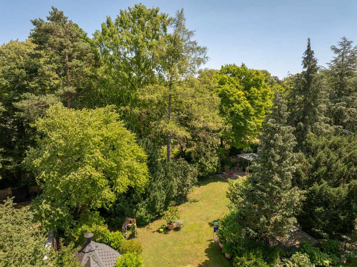 Ein zauberhaftes und vielseitiges Haus in Spitzenlage direkt am Grüngürtel und Engl. Garten – 80805 München – Vorschaubild 63