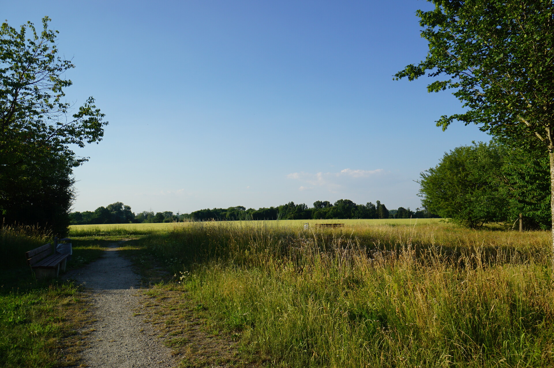Bj. 2012 - Ruhig und grün am Stadtrand, Westblk. ohne Gegenüber, Bes. SA 22.08. n. Vereinbg. – 81249 München / Lochhausen – Vorschaubild 14