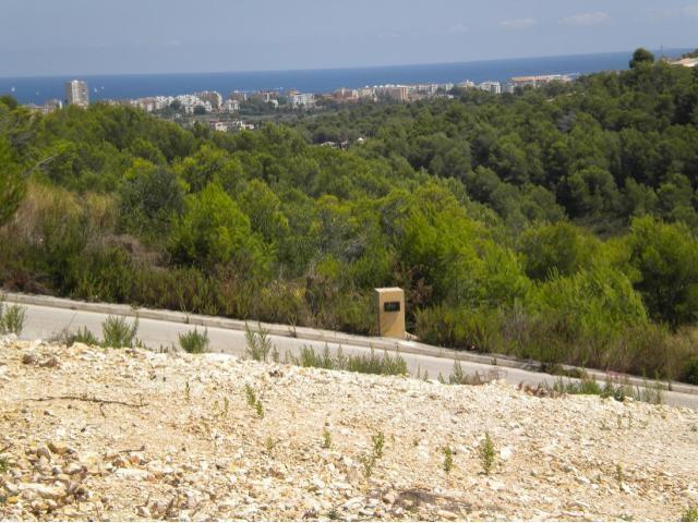 Baugrundstück - Ausblick
