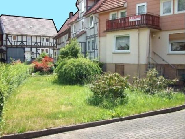 Bild