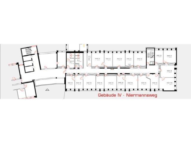 Kopf_grundriss_4