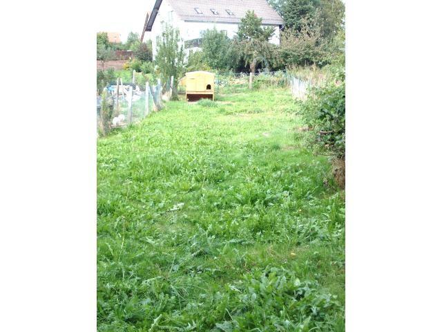 DER MÖGL. NUTZGARTEN ODER ALS KLEINE WEIDE -sep. mit zu kaufen möglich !!