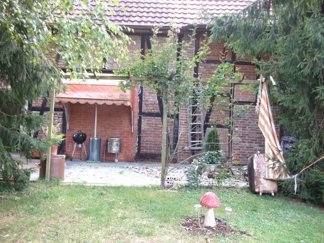 Bild