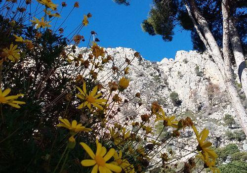 Aussicht auf den Hausberg Rückseite