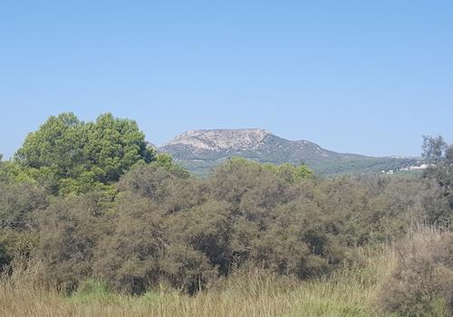 Süsswasserbiotop mit vielfältiger Fora und Fauna