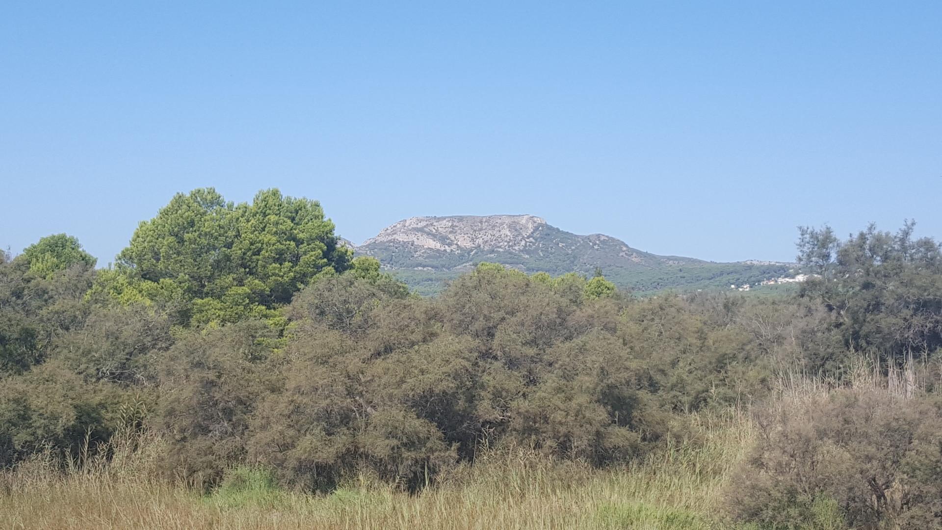 Süsswasserbiotop mit vielfältiger Fora und Fauna