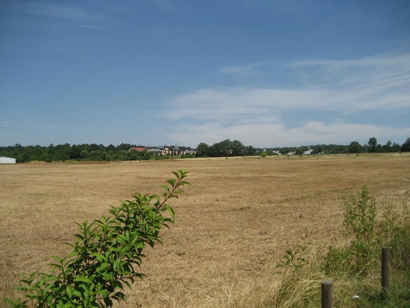 Blick vom Grundstück in Richtung Wertheim Village