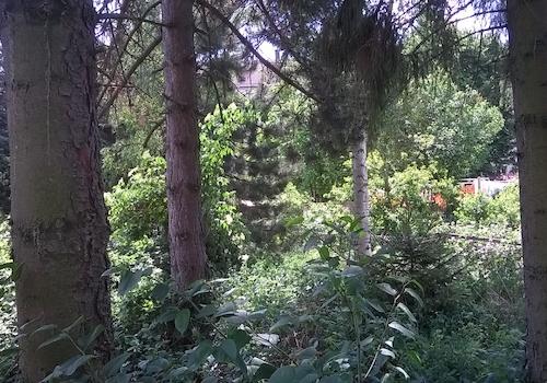 Wald mit Pachtland