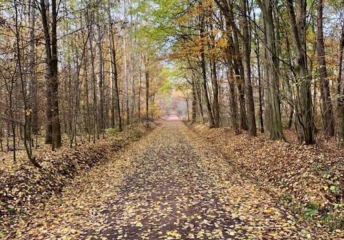 Wald & See in unmittelbarer Nähe