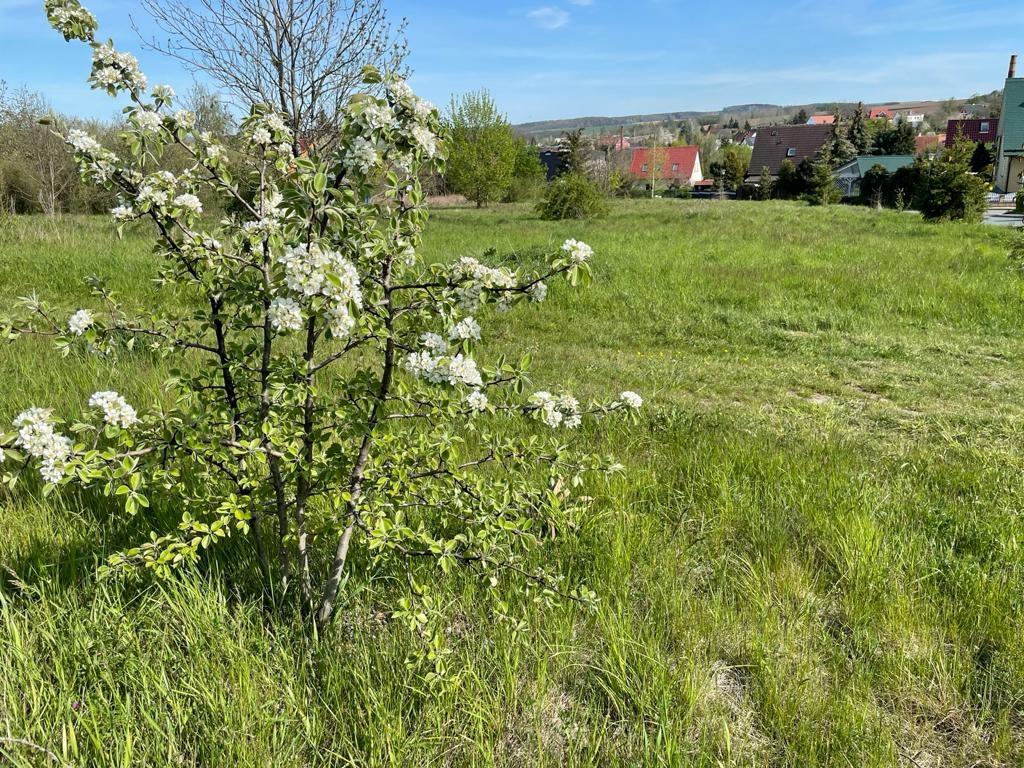 Hier sind 18 Baugrdt. entstanden