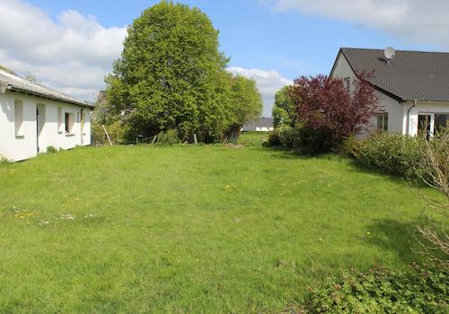 Rasenanlage (Garten)